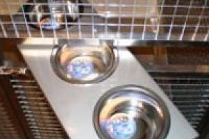 Edelstahlfutterdrehtableau